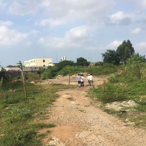 2017年国土卫片复耕复绿终验（海南英华园林绿化工程有限公司更名为海南生雅景观园林有限公司）