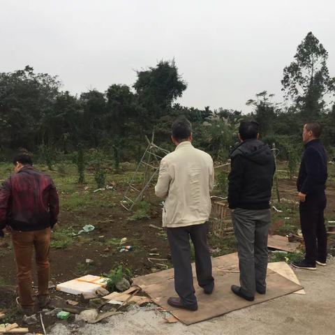 2017年国土卫片复耕复绿终验（海南汉鼎绿化工程有限公司）补种再验2018.12.13