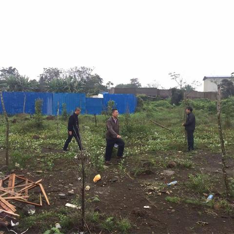 2017年国土卫片复耕复绿终验（海南汉鼎绿化工程有限公司）