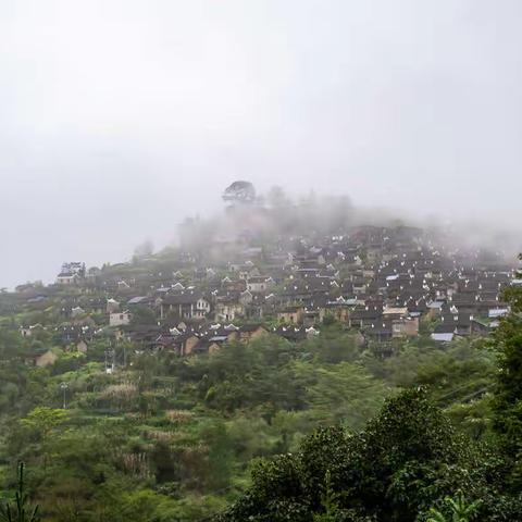 广东连州油岭南瑶寨，欧家、黑山梯田