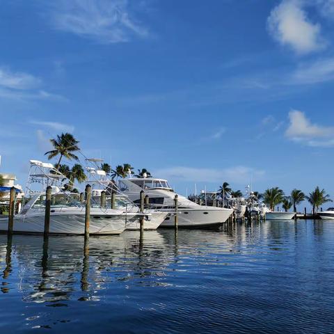 感恩节迈阿密度假