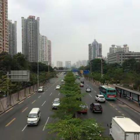 罗湖交通运输局小修养护情况汇报