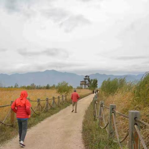 北京野鸭湖湿地公园是华北最大唯一的鸟类保护区。地处延庆八达岭长城脚下的官厅湖畔。