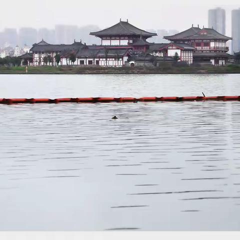 松雅湖的春天