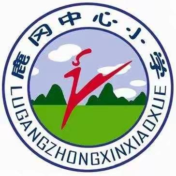 只争朝夕 不负韶华——鹿冈小学四月工作总结