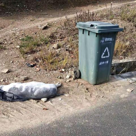 我为群众办实事/天涯区农业农村局高峰片防疫员下村处理死猪工单