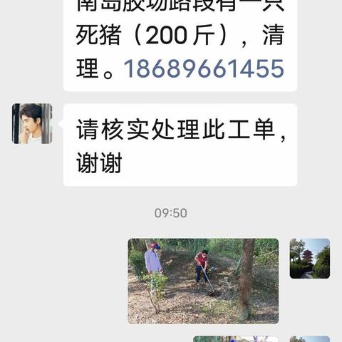 我为群众办实事/天涯区农业农村局高峰片防疫员下村处理死猪工单