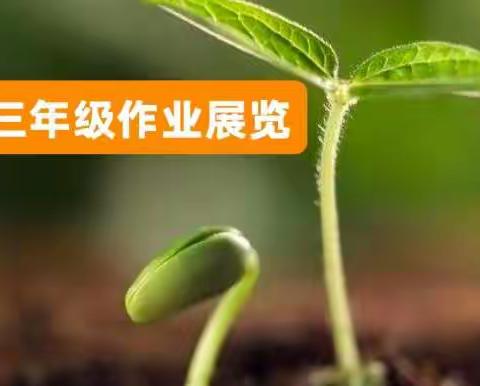 阳春四月百花开，馥郁清香竞芳菲！             三年级网课学习作业展览