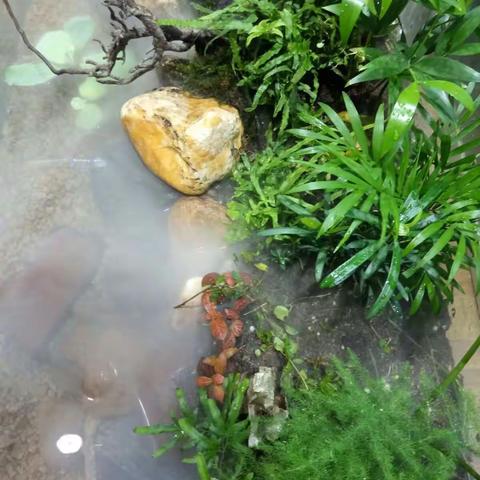 水陆缸