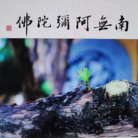 疫情过后，最好的活法：一个字！