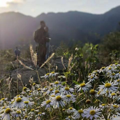 北秋房村  正是秋芳染丽、树果飘香时