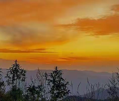 约秋相会在白扬坡