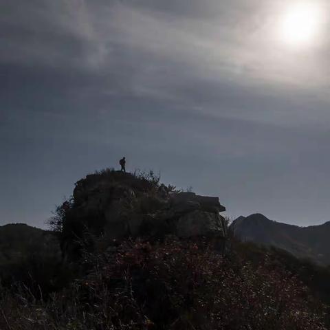 秋啊，请不要走得那么匆忙