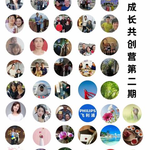 家长共创营二期学习情况总结