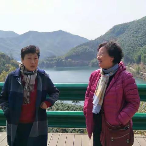 春分入画篇篇美