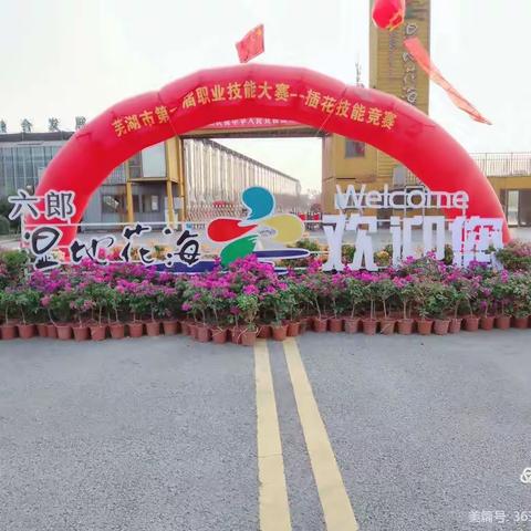 秋游六郎湿地花海