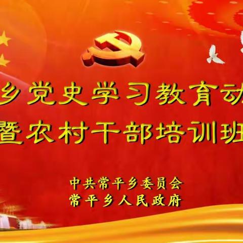 学党史、明初心；新担当、新作为——常平乡召开党史学习教育动员会暨农村干部培训会