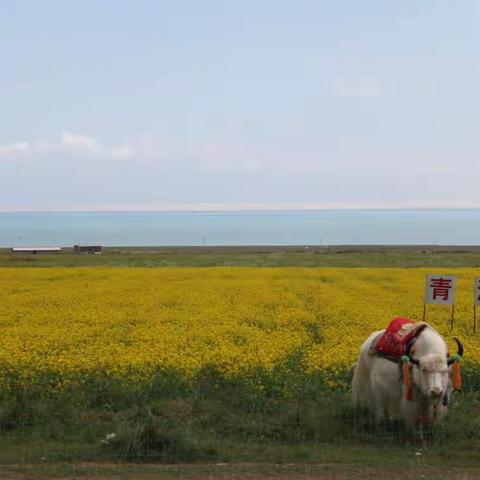 2012年的夏天（下）