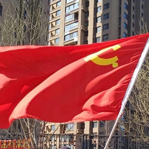 倡导文明祭祀，防火防疫两不误—派驻朴屯街道丹北社区市直机关党员志愿者在行动