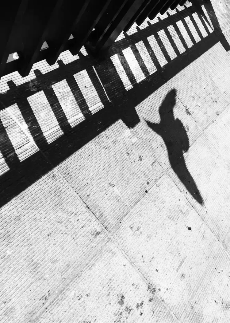 光与影【剪影，倒影，镜面对称】