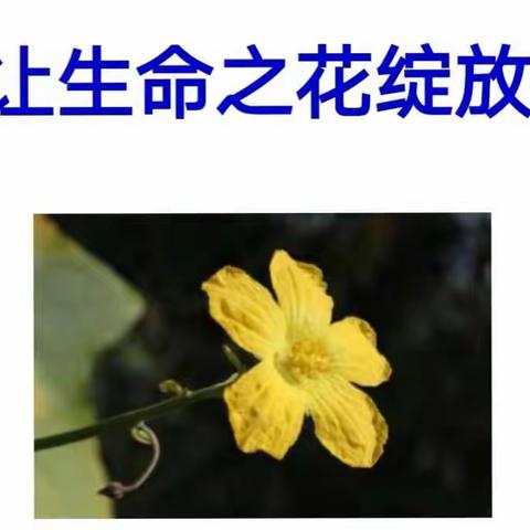 幸福小课堂之《生命之花绽放》系列1——大营盘乡中心小学