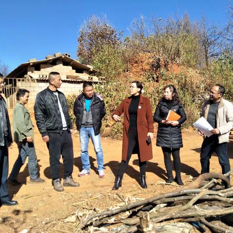 副县长李兴翠深入翠华镇指导扶贫项目推进工作