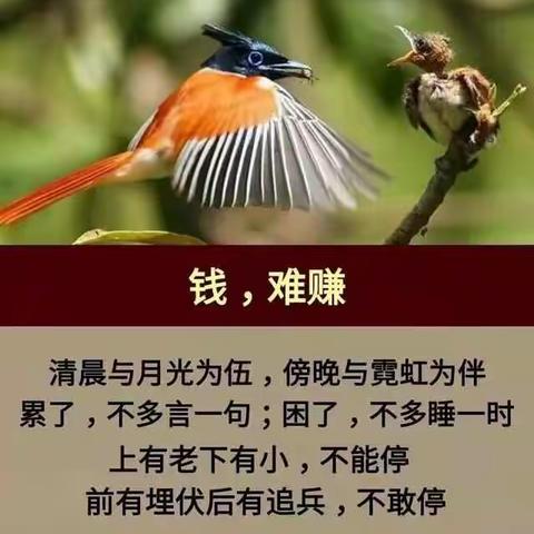 善待自己……善待他人……