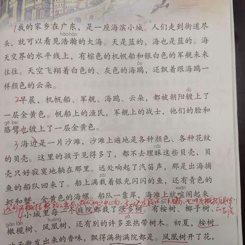 “以读促写 读写结合”校级研究课简讯