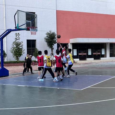 激情“篮”不住   《224班篮球赛🏀》