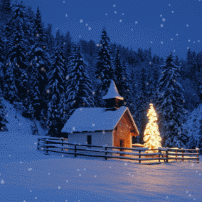 【诗朗诵】希望2019一切都好好的