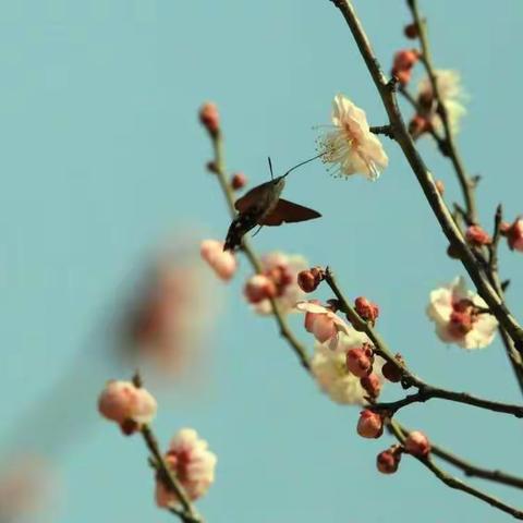 大院孩子的春天