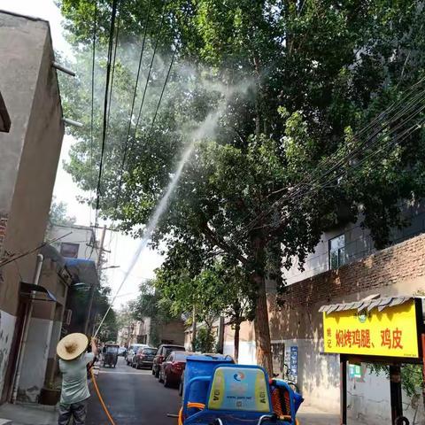 顺河回族区铁塔办事处北门社区联合消杀公司对树木进行白鹅消杀工作