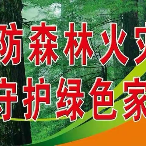 《森林防火安全知识有哪些》
