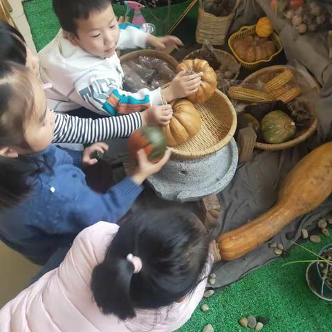 恒山路幼儿园中一班班本课程——美味“南”得