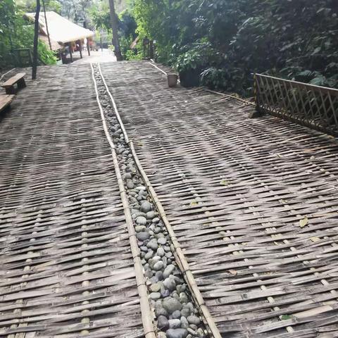 2019年11月6日一10日游西双版纳（3）