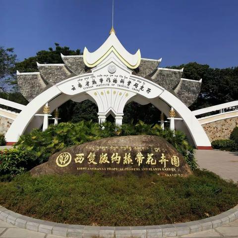 2019年11月6日至10日游西双版纳