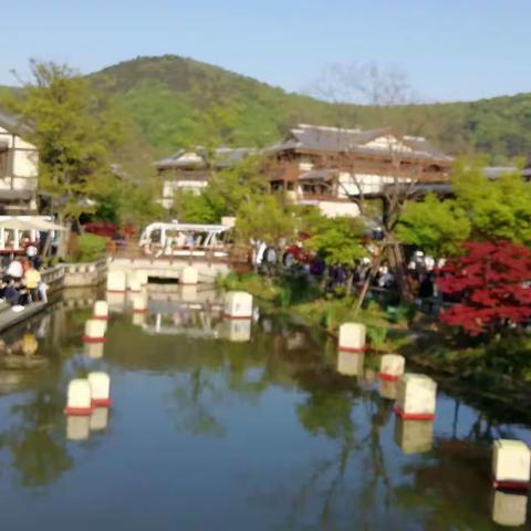 拈花湾之游