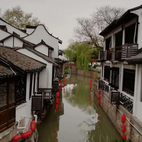 嘉定古街半日游。