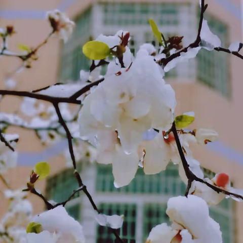 领导赋能蓄力前行 名师引领共谱华章 ——新密市实验初中名师工作室揭牌仪式