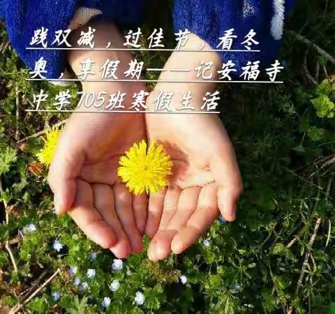 践双减，过佳节，看冬奥，享假期——记安福寺中学705班寒假生活