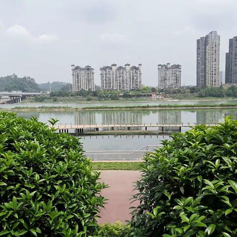 见  闻：                                     观三江潮水，吸花草芳香，览嘉州胜景。