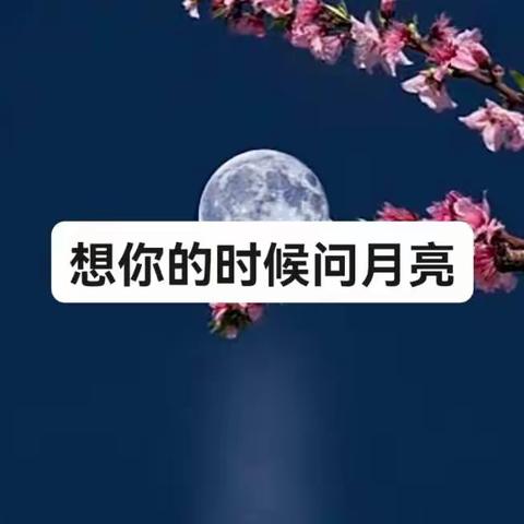 想你的时候问月亮