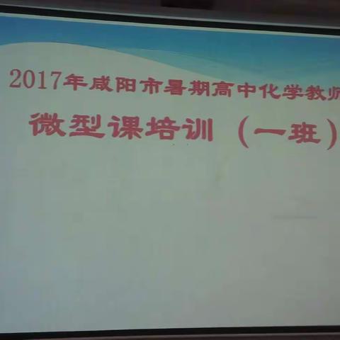 2017年咸阳暑期高中化学教师培训一班第2天