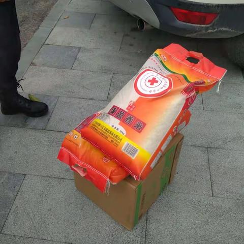 景宁县原籍沙湾村的机关事业单位第七组成员开展返乡大调研活动