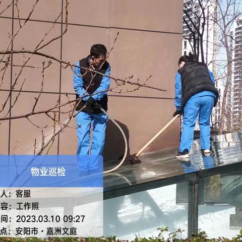 龙安区文明大道街道办事处嘉州华庭社区2023年3月10日开展城市清洁活动日