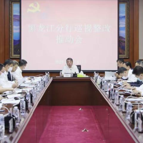 黑龙江分行党委书记、行长张晓辛主持召开黑龙江分行巡视整改推动会