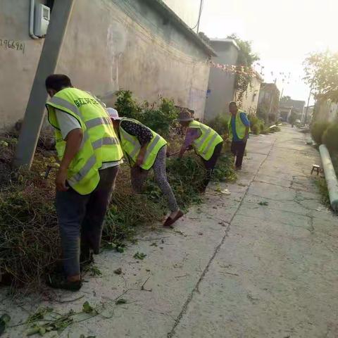 滨江环卫的美篇