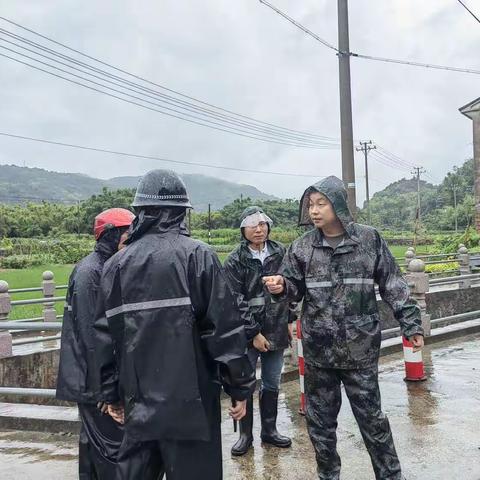 龙岙村两委一线抗击台风“杜苏芮”简讯