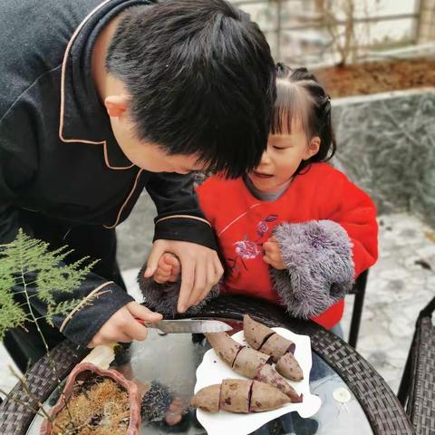 我和我的“三精”妹妹