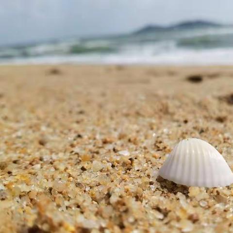 那些关于海的记忆